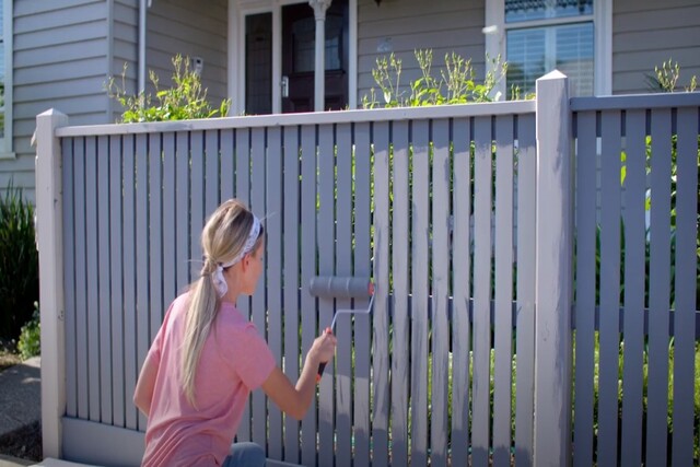 Fence painting by worker with a roller